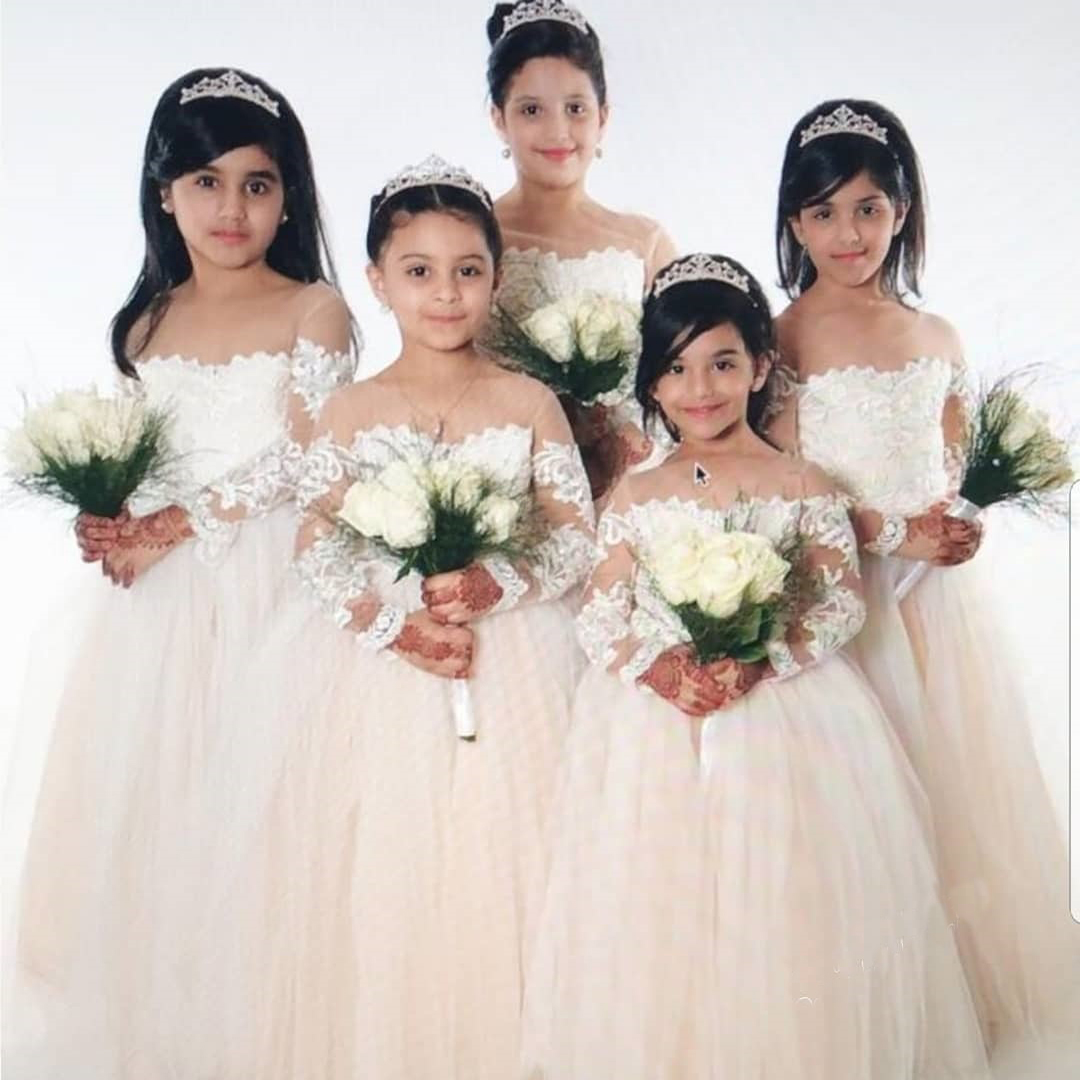 Gaun bunga Tulle renda untuk b - Toddler Girl Tulle Party Dress ulasan dan harga