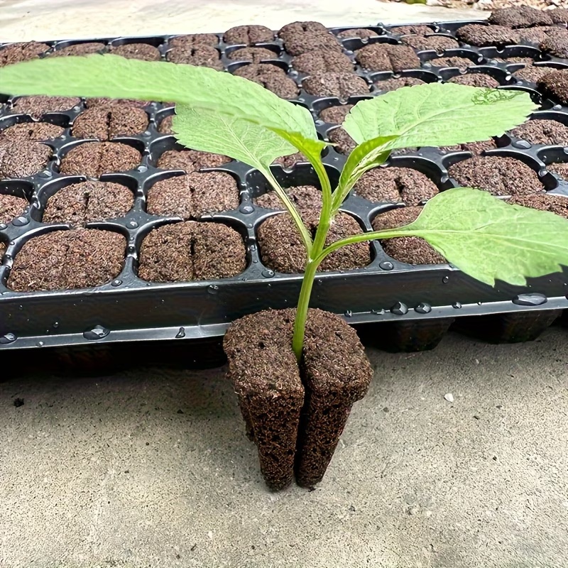 Spons Perkecambahan Cepat Hidr - Nursery ulasan dan harga